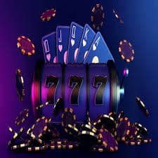 333bet14