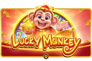 333bet14