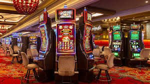 333bet14