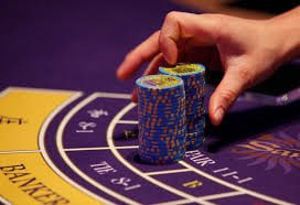 333bet14