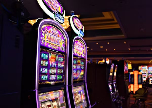 333bet14